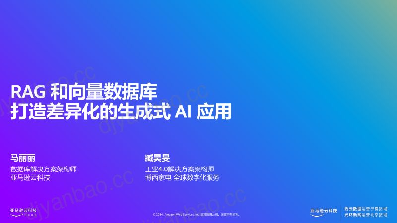 RAG和向量数据库打造差异化的生成式AI应用 第2页