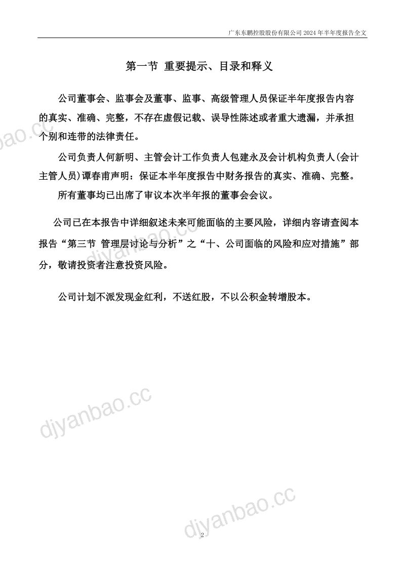 东鹏控股:2024年半年度报告 第2页