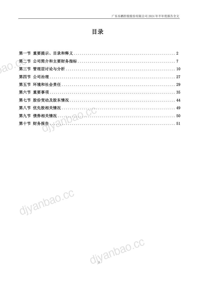 东鹏控股:2024年半年度报告 第3页