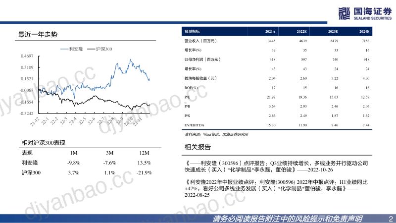 利安隆-深度报告抗老化助剂龙头多线业务驱动发展- 第2页