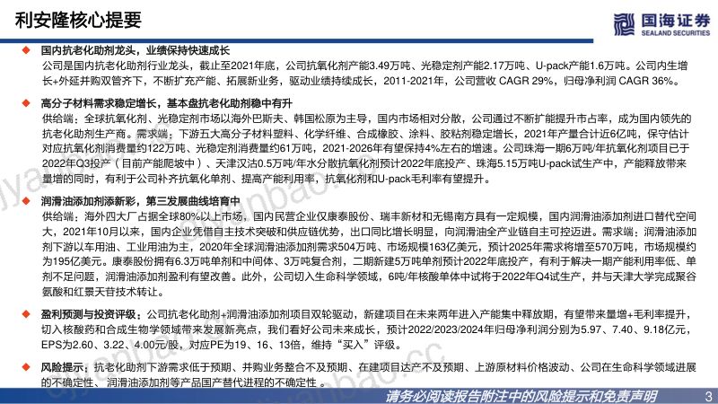 利安隆-深度报告抗老化助剂龙头多线业务驱动发展- 第3页