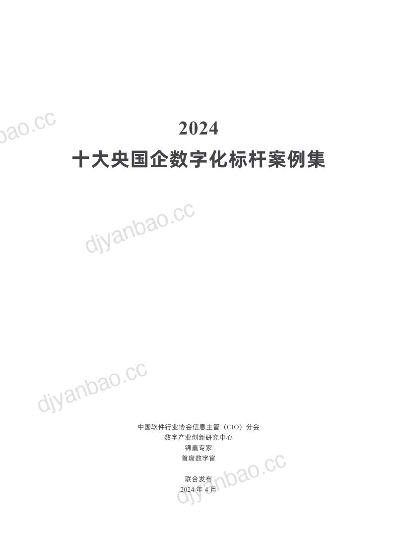 中软协CIO分会DIIRC2024十大央国企数字化标杆案例集 第2页