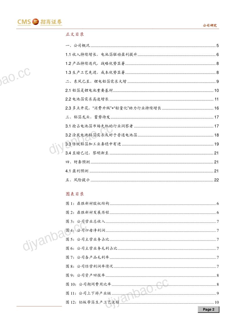 公司研究鼎胜新材-电池铝箔放量在即涂碳提升行业市场空间- 第2页