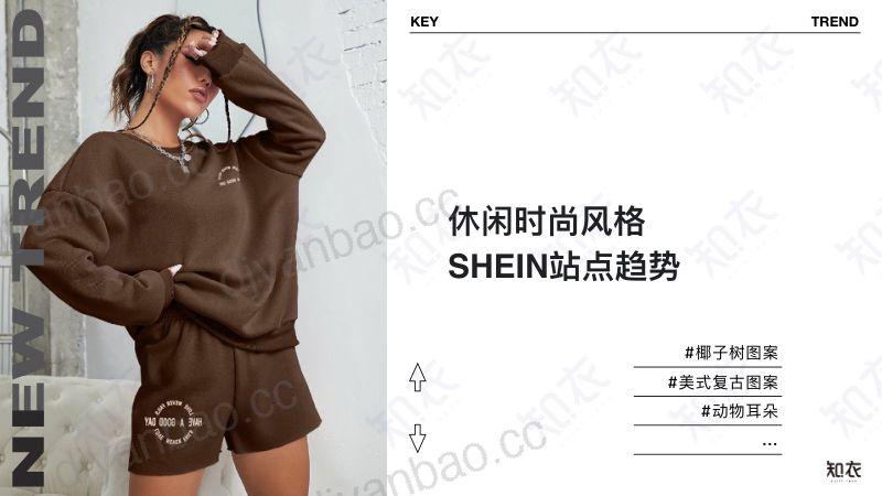 知衣科技2023SS跨境电商和站点趋势报告-shein 第3页