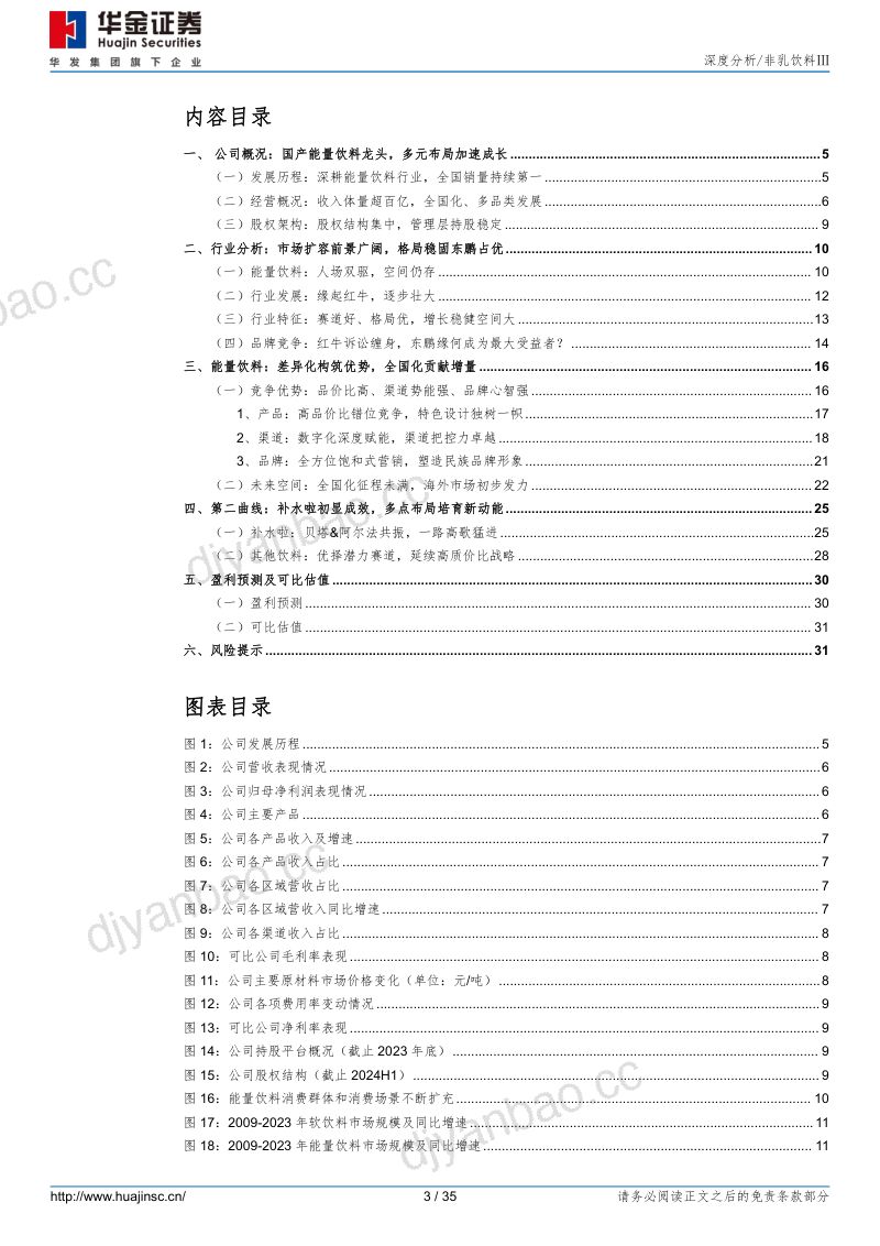东鹏展翅,征程未有穷期 第3页