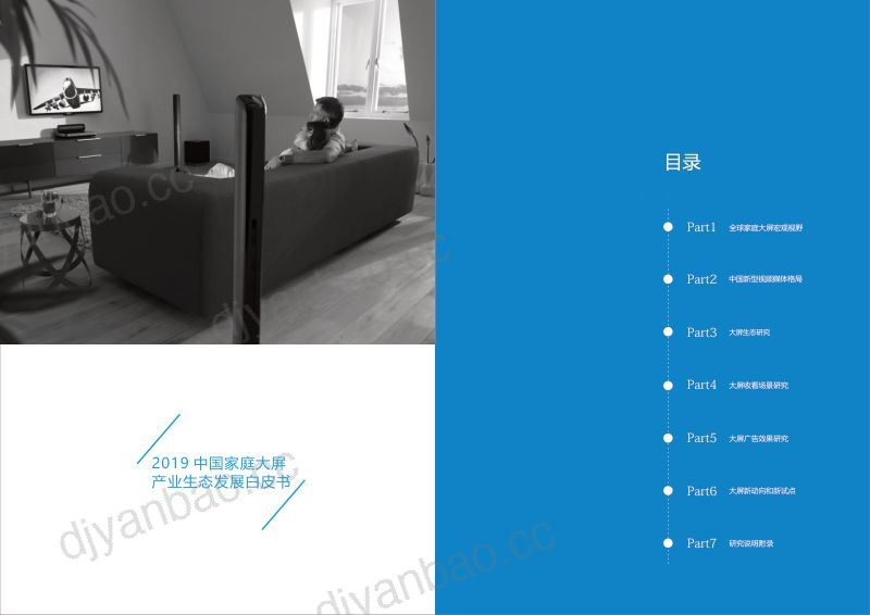 尼尔森2019中国家庭大屏产业生态发展白皮书 第2页