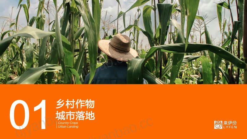 社区店场景化，零食增长新势能-施永雷 来伊份-Foodaily FBIC2024 第3页
