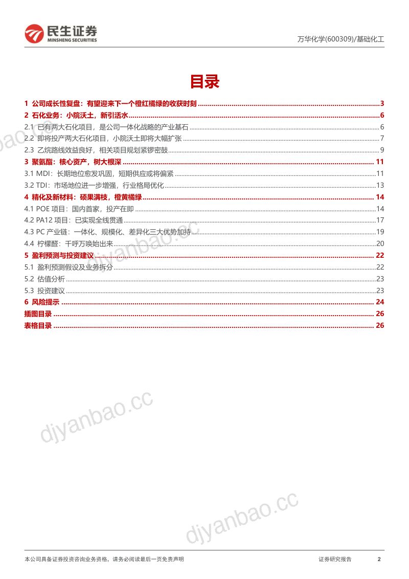 万华化学-公司深度报告一年好景君须记又是橙红橘绿时- 第2页