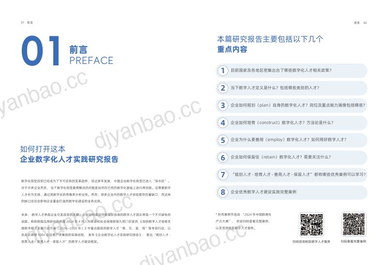 帆软赛迪顾问2024企业数字化人才实践研究报告 第3页