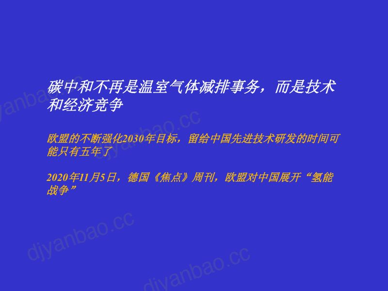 实现碳中和目标的能源和经济转型 第3页