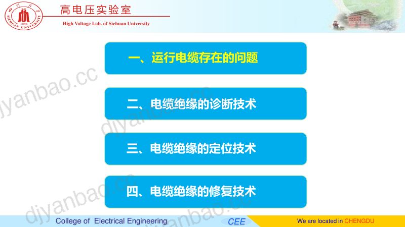 2019年电缆系统绝缘老化诊断定位与修复技术 第2页