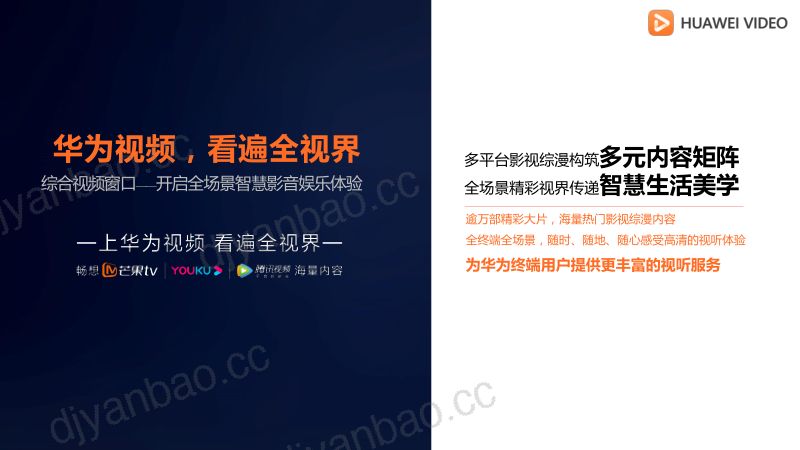 4.华为视频扬帆出海聚力共赢 第2页