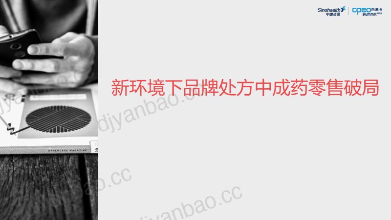 2019年新环境下品牌处方中成药零售破局 第2页
