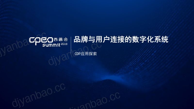 2019年品牌与用户连接的数字化系统-CDP应用探索 第2页