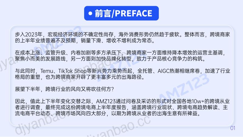 AMZ123:2023上半年度跨境电商行业调研报告(89页) 第3页
