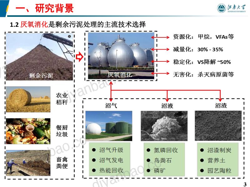 生物基炭材料促进剩余污泥厌氧消化产气的研究 第3页