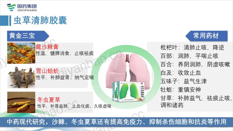 2019年虫草清肺呼吸不累-让生命更好的呼吸 第3页