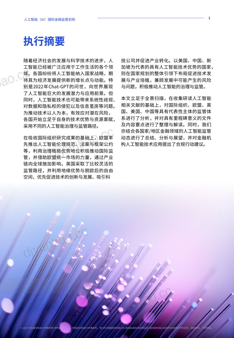 毕马威2024人工智能AI国际金融监管初探报告 第2页