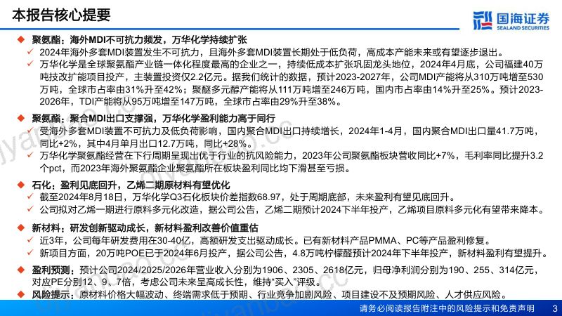 万华化学-公司深度报告系列深度之五聚氨酯优势加强新材料接力成长- 第3页