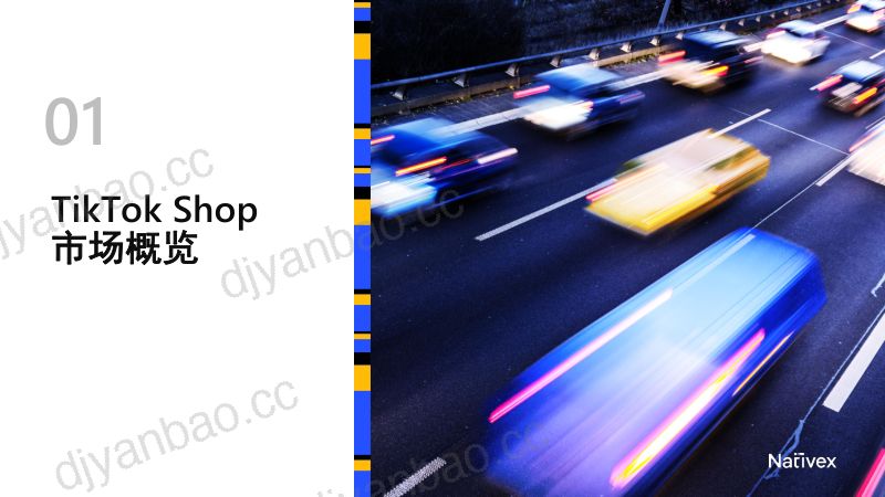 Nativex2023年TikTokShop跨境电商增长宝典 第3页
