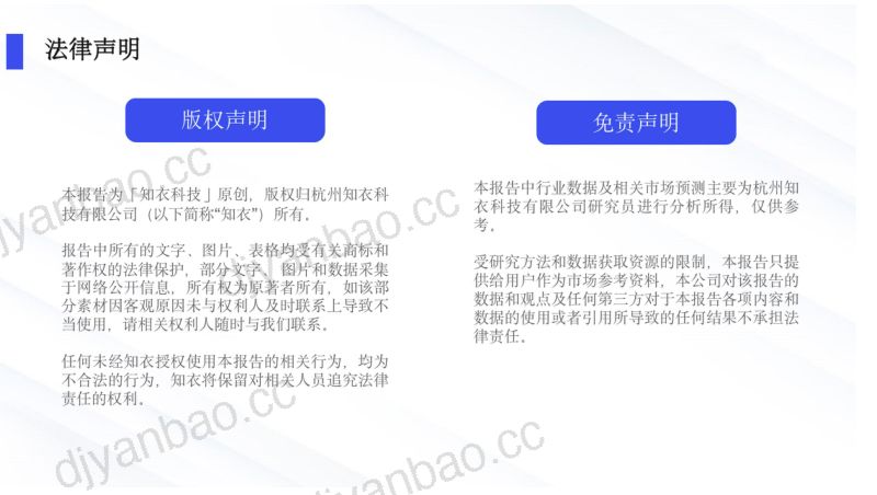 知衣科技2024年第一季度亚马逊女装TANKS与CAMIS市场趋势与数据分析报告 第2页