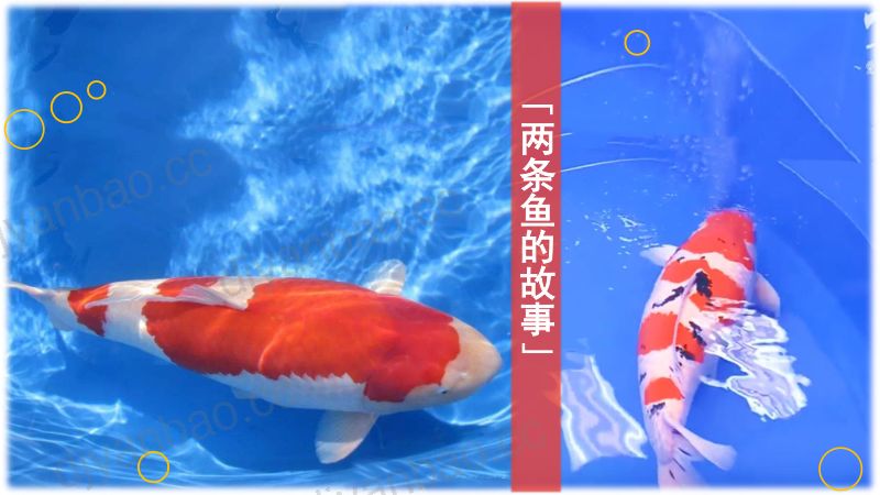 融媒体产业合作峰会04沈雪峰 第2页