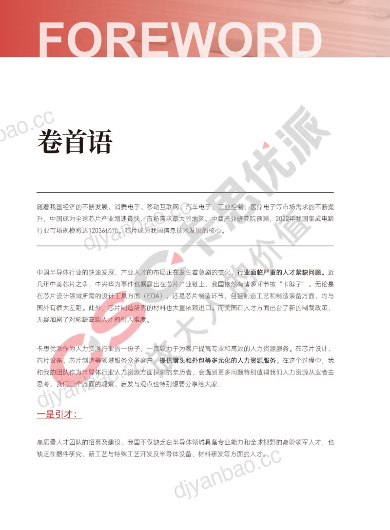 卡思优派2023芯片半导体行业人才白皮书 第3页