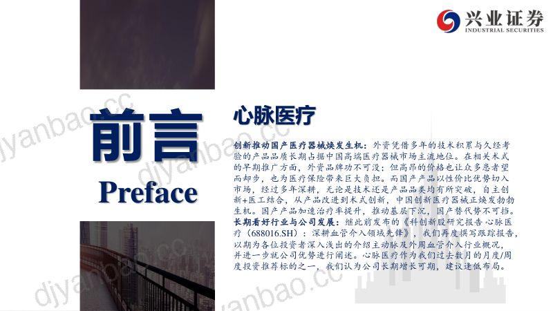 公司研究心脉医疗-深耕主动脉及外周血管介入器械领域先锋- 第2页