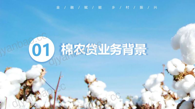 新疆银行2024数字化转型视野下普惠场景业务实践与探索-棉农贷产品创新助力乡村振兴 第3页