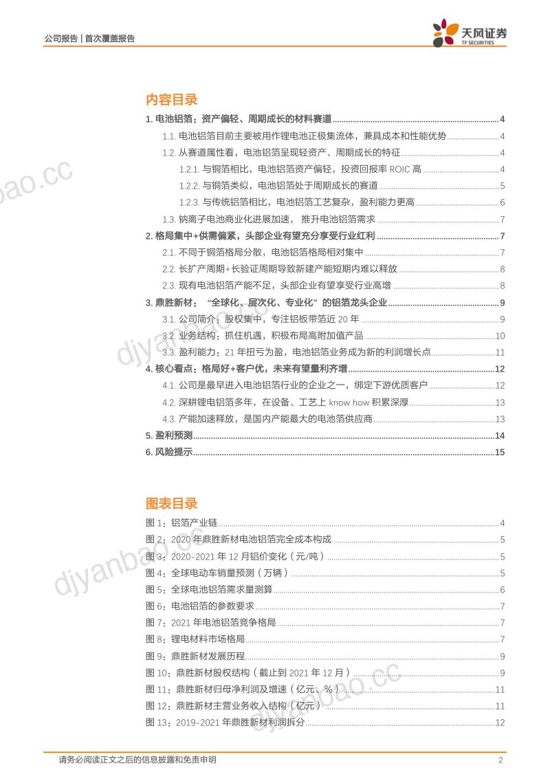 鼎胜新材-锂电铝箔龙头量利齐增可期-220303（16页） 第2页