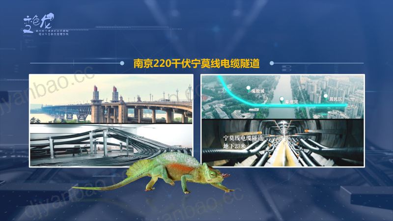 2019年基于地下通道的状态感知建设生态融合管理系统 第2页