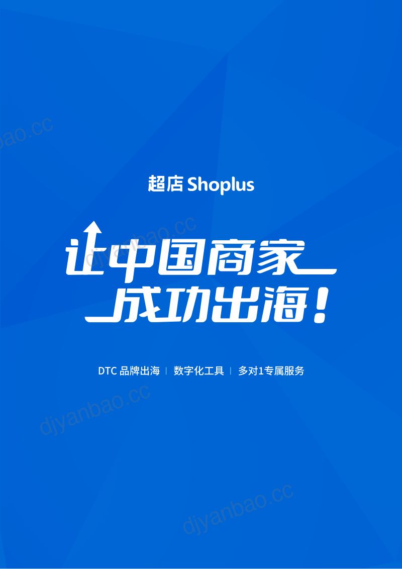 超店跨境电商独立站成功出海手册 第2页