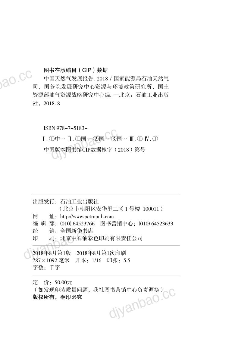 国家能源局2018中国天然气发展报告 第2页