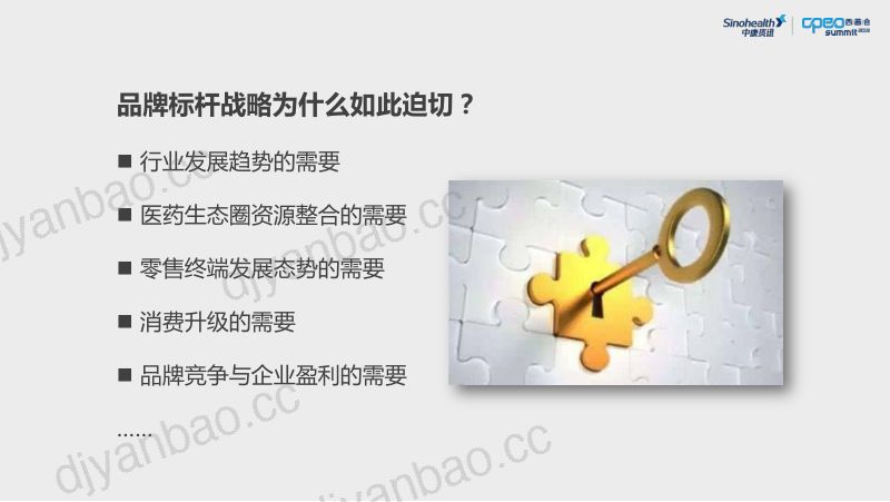 2019年需求洞察成就标杆品牌 第3页