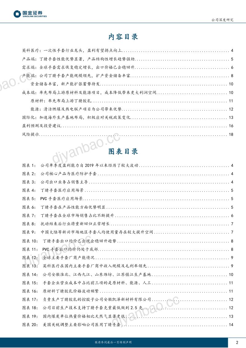 英科医疗-公司研究报告-手套防护领军企业成本优势铸就价值- 第2页