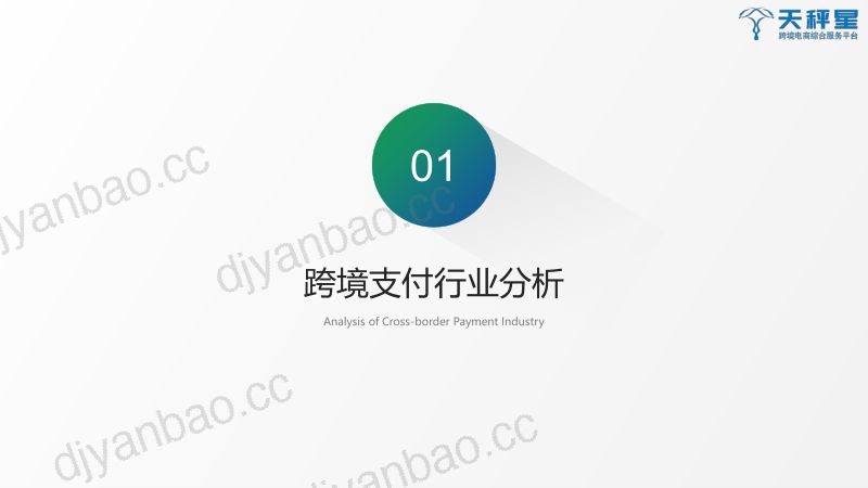 天秤星2019跨境支付行业白皮书 第3页