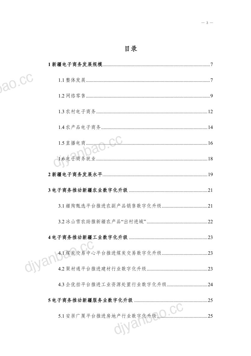 新疆大学：新疆电子商务发展研究报告（2023) 第3页