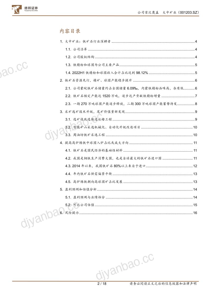 大中矿业-铁矿资源先行深耕球团加工- 第2页