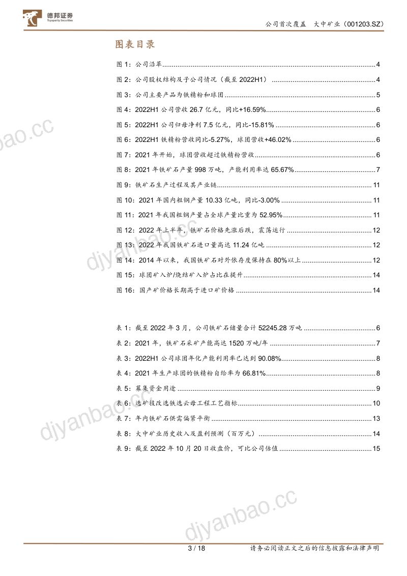 大中矿业-铁矿资源先行深耕球团加工- 第3页