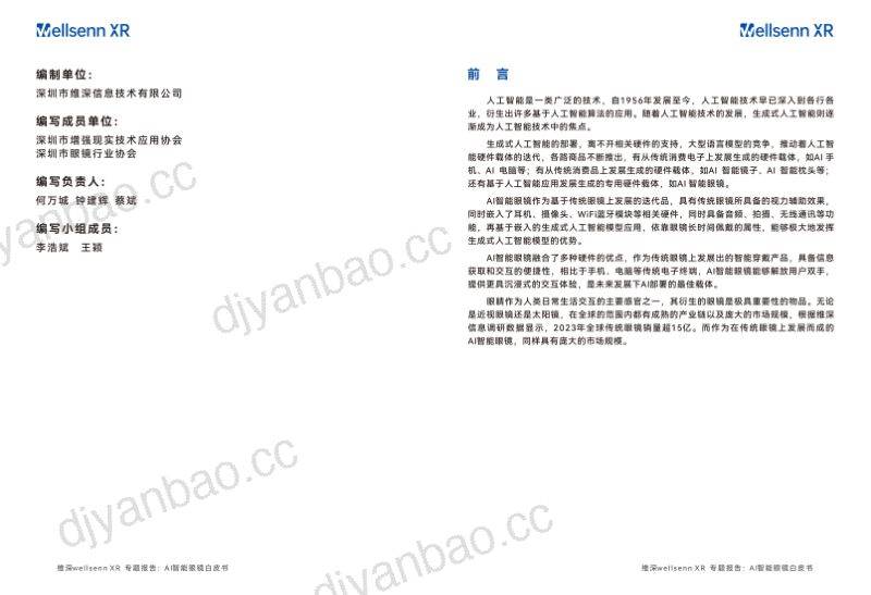 维深Wellsenn2024年AI智能眼镜白皮书 第2页