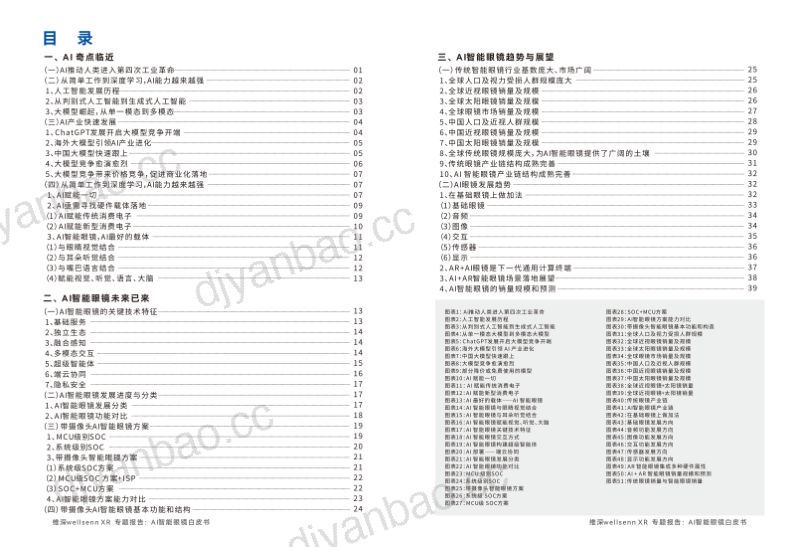 维深Wellsenn2024年AI智能眼镜白皮书 第3页