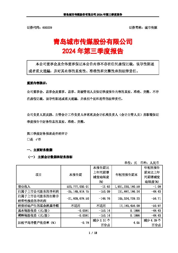 城市传媒：青岛城市传媒股份有限公司2024年第三季度报告