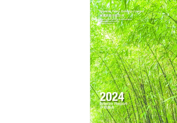 域能控股2024 中期报告