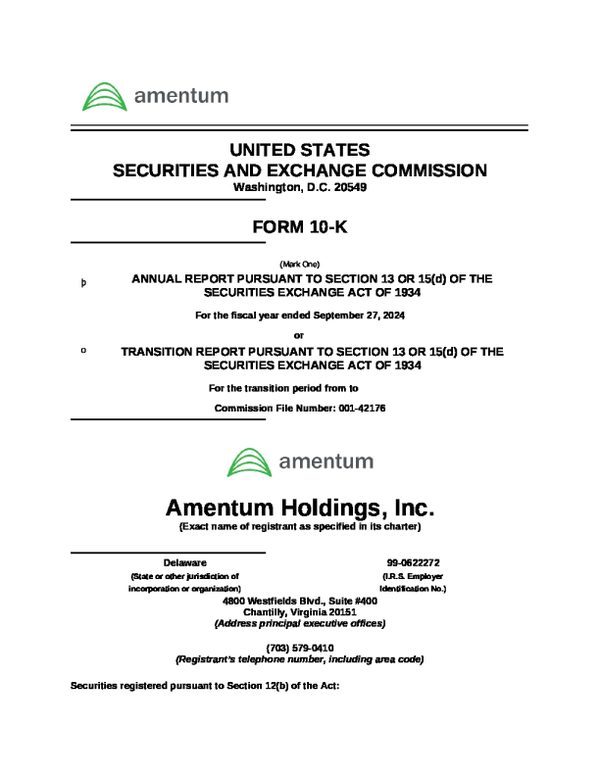 Amentum Holdings Inc 2023年度报告