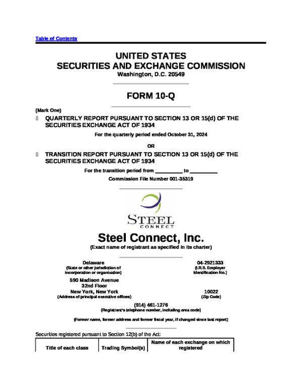 Steel Connect Inc 2024 年度年度报告