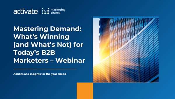 2024 年 B2B 营销报告