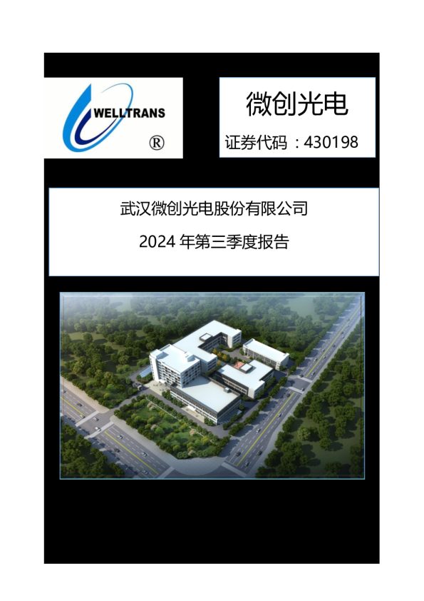 微创光电:2024年三季度报告