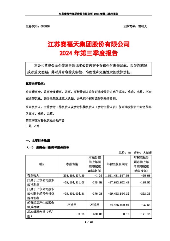 赛福天:2024年第三季度报告