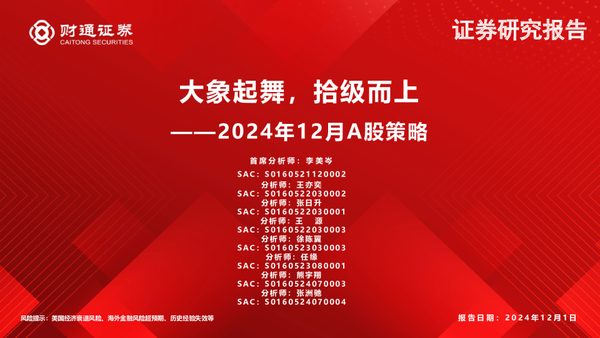 2024年12月A股策略：大象起舞，拾级而上