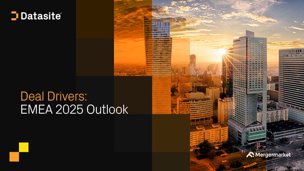 交易驱动因素 ： EMEA 2025 展望
